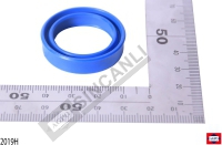 Seal 25x33x8