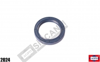 Seal-Shaft (45X62X10