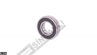 Bearing 6206 2Rs