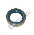 Oil Seal