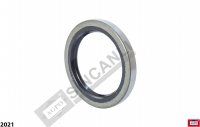Rear Axle Seal