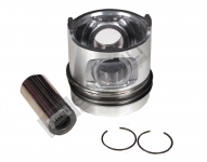 Piston W/ Rings 