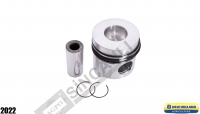 Piston W/Ring 100 Mm 38 Pin 