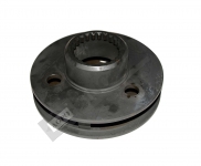 GÜNEŞ DİŞLİSİ MES.PİMLERİ