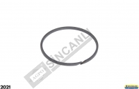 Sealing Ring 