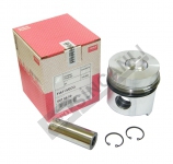 Piston,Pin,Clips,W/Ring Std. (007 85 00) 
