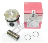 Piston W/Rings Std. 100 Mm 38 Pin 