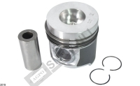 Piston W/Rings Std. 38Mm 