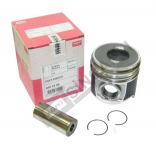 Piston W/Ring 