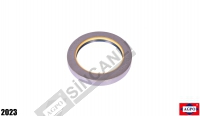 Shaft Seal