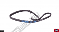 Fan Belt
