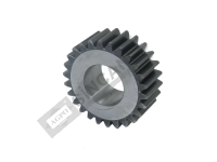 CER KOZA DİŞLİ TÜMOSAN 60x80
