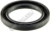 Shaft Seal