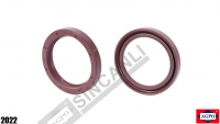 Crank Rear Seal