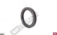 ŞANZIMAN PTO MİL L3L 60x80x10 047815-P