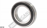 ŞAFT ASKI RULMANI 6009 2RS 45x75x16