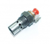 Heater Plug 24V