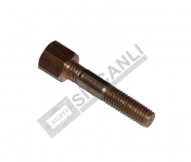 Stud With Brass Nut-Exhaust Manifold