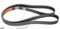 Fan Belt