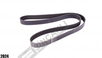 Fan Belt