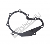 Gasket-Water Pump