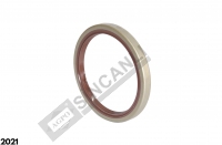 Seal-Crankshaft 110x135x13