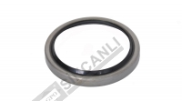 Oil Seal