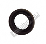 Seal 42X 62X 10