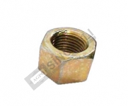 Nut-Front Weight Bolt