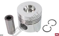 Piston And Pin (34 Mm Pin) 100 Mm