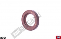 Oil Seal