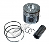 Piston w/Rings 