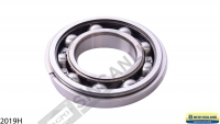 Ball Bearing 