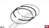 Ring Set-Piston Std 102 Mm