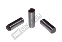 Pin-Carrier Gear