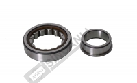 Roller Bearing