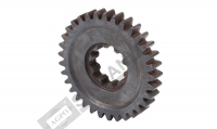 AYNA MAHRUTİ DİŞLİSİ Z-33