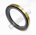Oil Seal