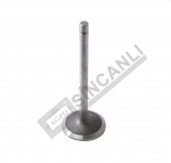 Inlet Valve Std.