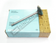 Inlet Valve Std.