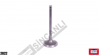 Inlet Valve 0.5