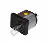 Hydraulic Pump Assembly (A 42