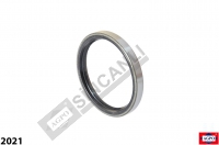 Rotary Shaft Seal