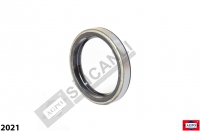 Oil Seal
