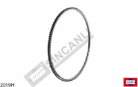 Flywheel Ring Gear Z:142