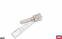 Common Rail Nozzle