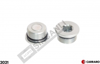 Fitting Plug