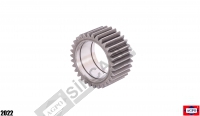 Planetary Pinion Gear