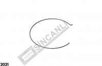 Spring, Synchronizer