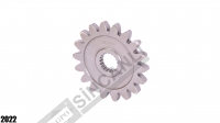 Spur Gear
